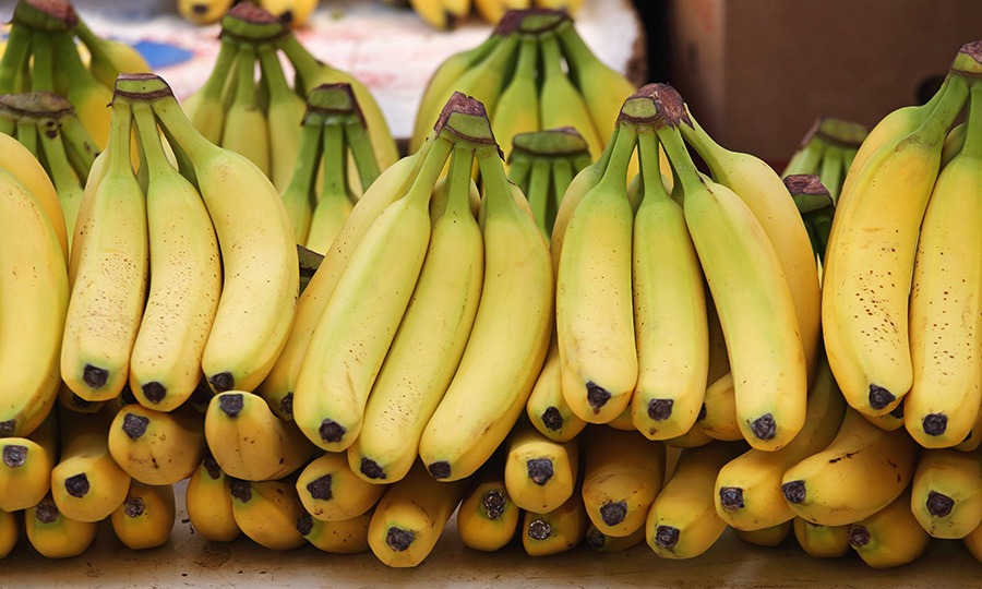 Nutritious ripe bananas at the grocery store