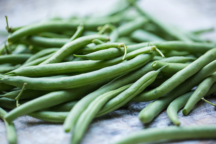 Well Balanced Meal Plan of fresh picked organic, healthy green beans