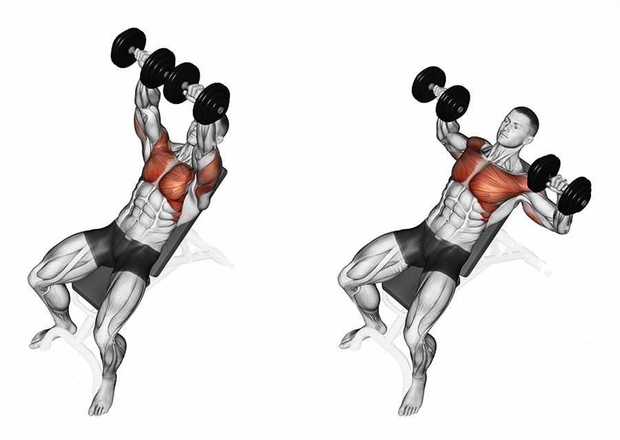 Upper body workout with incline dumbbell press.