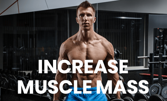 Increase Muscle Mass